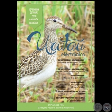 URUTAÚ ELECTRÓNICO - 10° EDICIÓN - OCTUBRE 2018